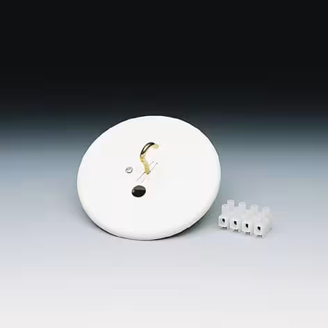 ABB AK 20.1 takdoslock med krok och 4-polig plint, vit